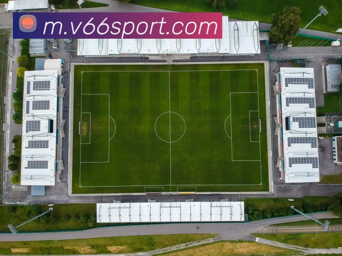 V66体育品牌故事